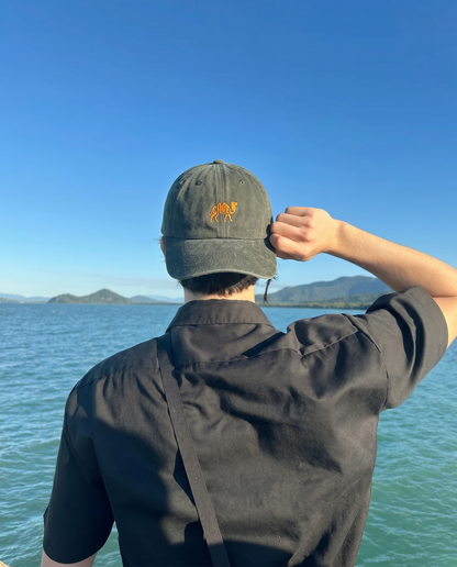 Camel Embroidered Cap