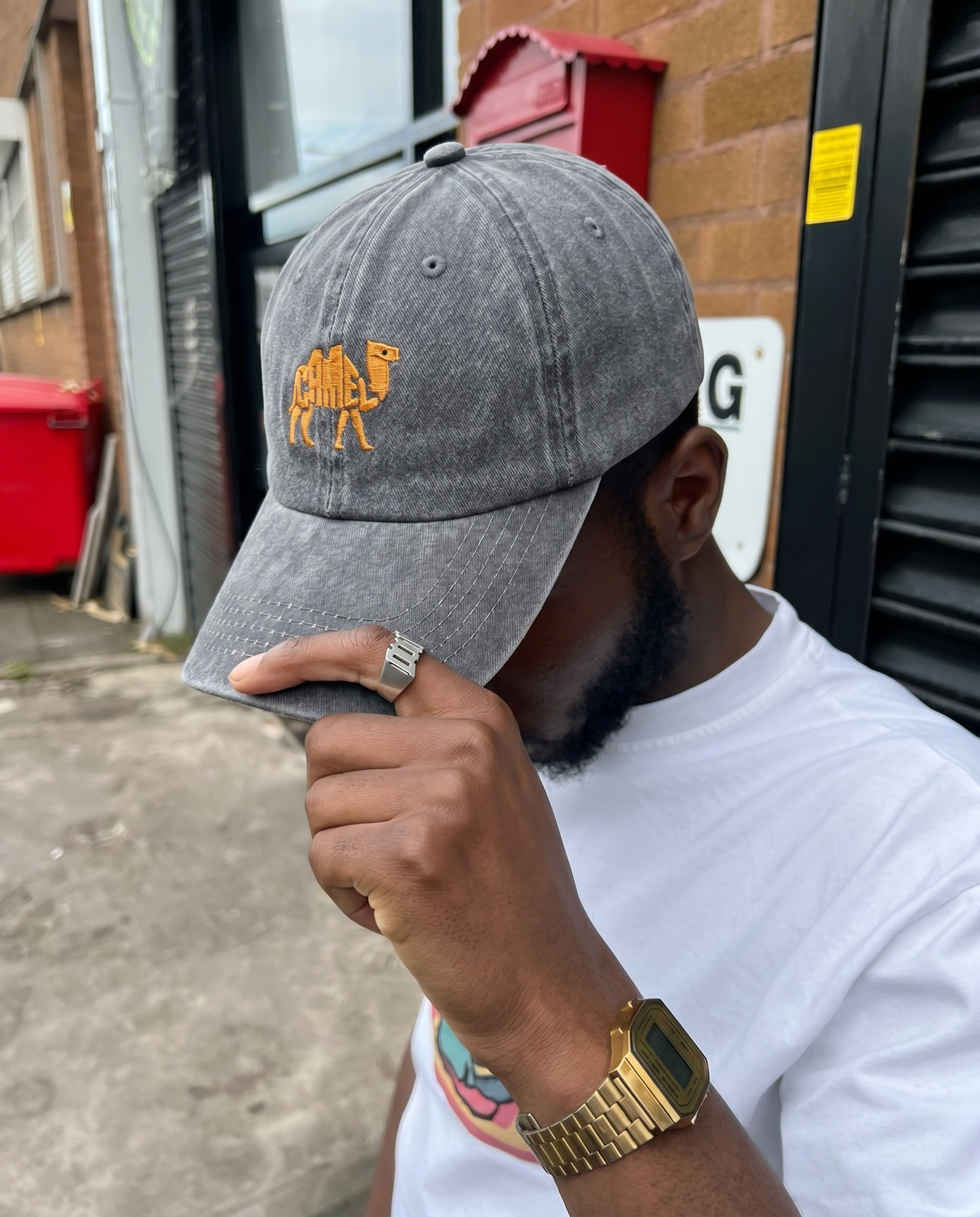 Camel Embroidered Cap