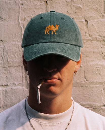 Camel Embroidered Cap